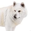 Animal Figurines for Educational Play and Cake Decoration