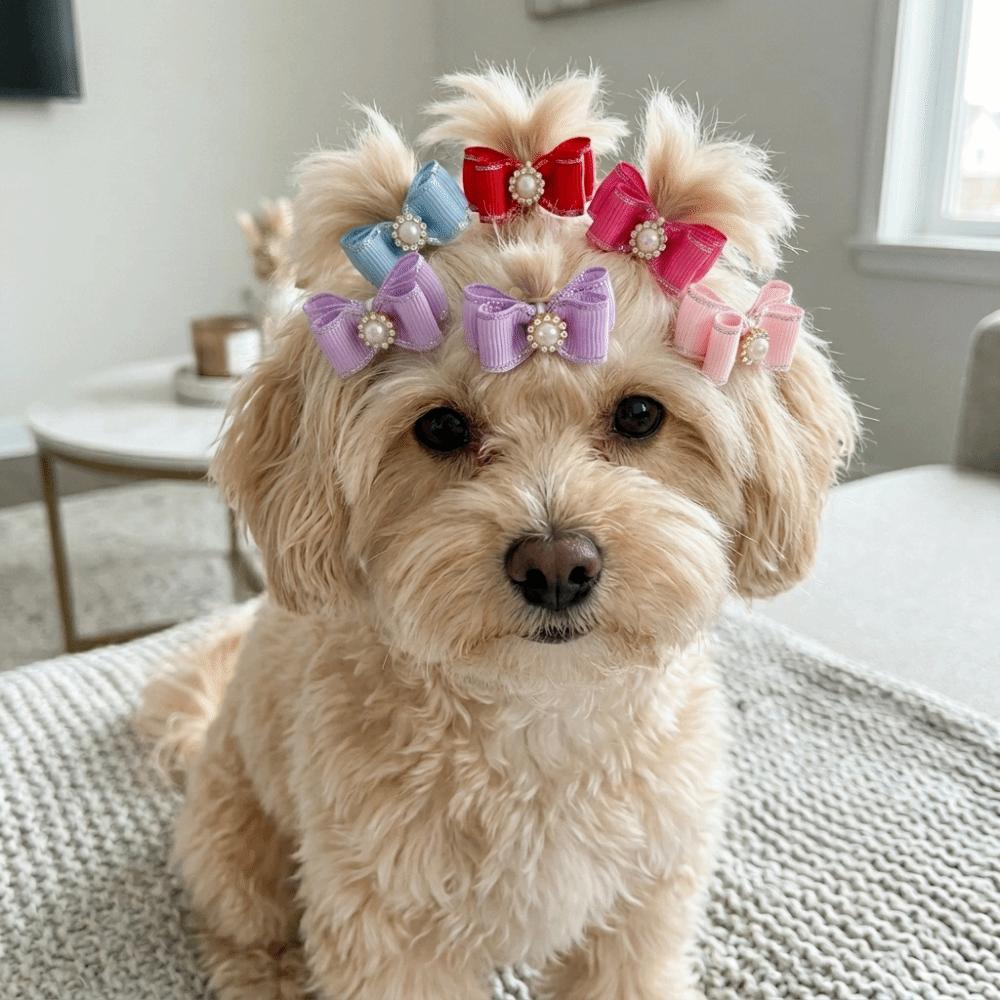 25Pcs Elastic Band Pet Hair Bow Pearl Decor Dog Hair Flower Cute Look Dog Bow Tie Pet Styling