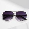European American Retro Double Beam Toad Mirror Metal Sunglasses For Men Women Unisex Fashion Eyewear