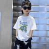 Boys' Trendy Korean Style Pure Cotton Short-Sleeve T-Shirt – Summer Clothing for Middle & Large Children