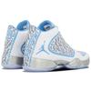 Air 29 'Pantone' 717796-108