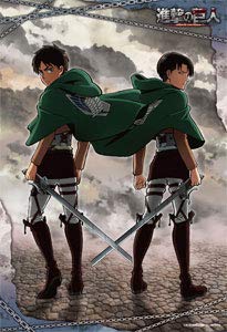 

300-piece jigsaw puzzle Attack on Titan: Wings of Humanity (26x38cm)