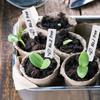 100-500pc Plant Sign Tags Markers Plants Pot Identification Labels Reusable Classification Marker Card Nursery Garden Stake Tags