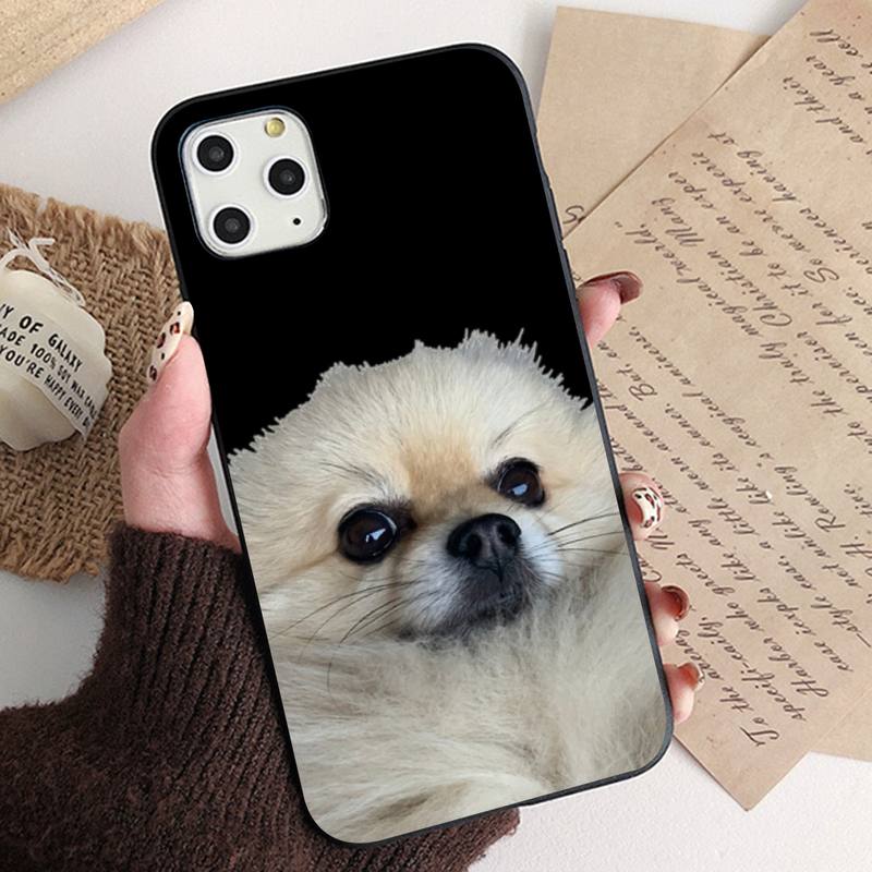 MaiYaCa Pomeranian Dogs Dog Phone Case for iPhone 11 12 13 Mini Pro XS MAX 8 7 6 6S Plus X 5S SE 2020 XR Case