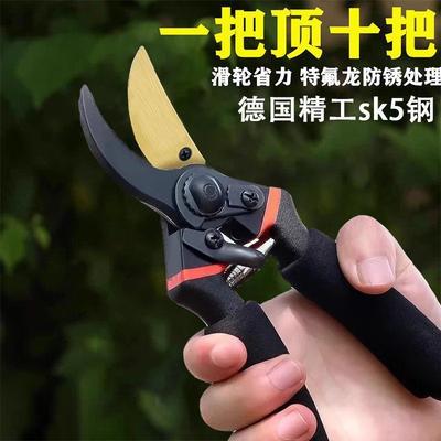 Garden Pruning Shears for Branches and Floristry
