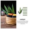 Japanese Plate Decorations Sushi Bamboo Leaves Fake for Dish Sashimi Artificial Leaf
