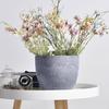 Qiaohao Shiguang Decorative Planters & Vases