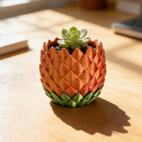 Doniczka ze Skalą Smoka z Podstawką Wewnątrz Na Zewnątrz Sukulenty Rośliny Ziołowe Doniczka Pojemnik z Otworami Drenażowymi Wystrój Domu Balkonu Ogrodu