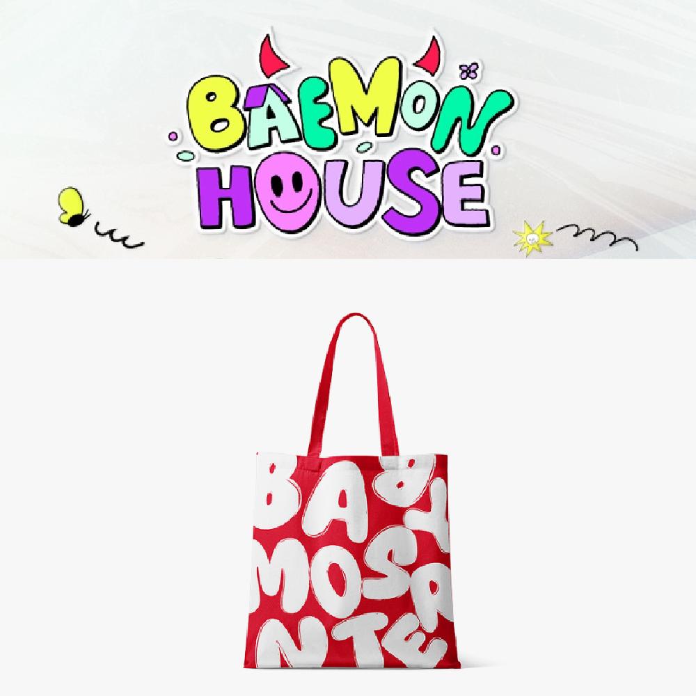 Предзаказ Эко-сумки BABYMONSTER BAEMON House
