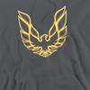 Pontiac Unisex Adult Iconic Firebird Hoodie