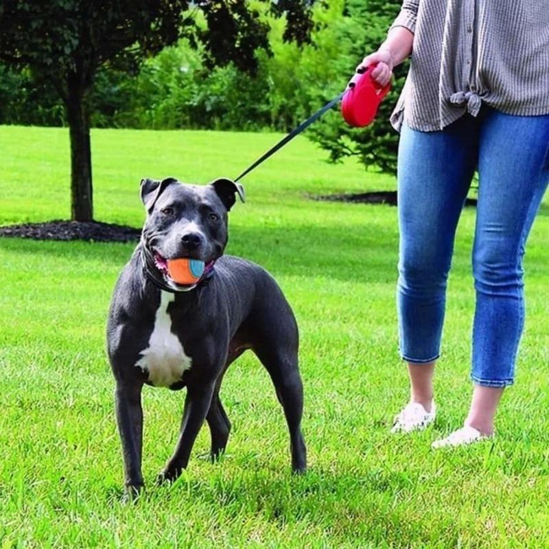 Soft TPR Dogs Interactive Training Toys for Small Large Dog Teeth Cleaning Bite-resistance Squeak Pets Ball Toy Supplies