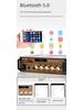 Dual-Channel Bluetooth Amplifier with USB Radio & Wireless Remote