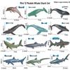 Jucărie Cognitivă pentru Copii: Figurină Pisică de Mare Gigantă, Pisică de Mare, Pește-Liliac, Pește-Soare