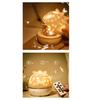 Night lamp for a child's room, star projector, decoration