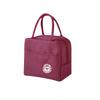 Large Insulated Lunch Bag, Thick Aluminum Foil, Multi-Functional & Cute Design for School and Picnics