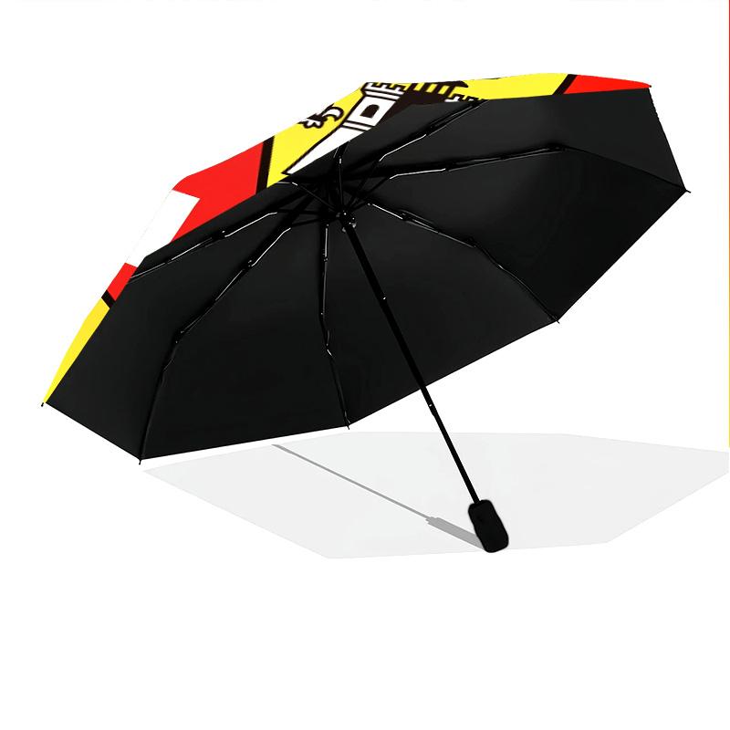RC Lens  Pattern, Automatic Folding Umbrella, Portable and Foldable Design, 8 Ribs, a Christmas or Birthday Gift.