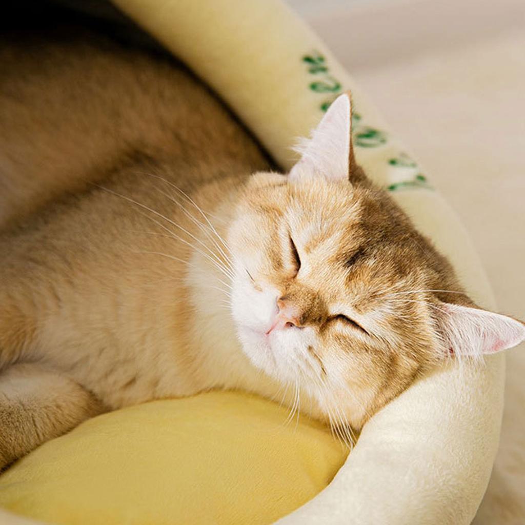 Avocado Cats Cave Bed Warming Calming Tent House for Small Dogs Non-Slip