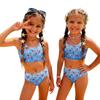 Girls Two Piece Swimsuit Set Tankini Top and High Waist Bottoms Fruit Print Summer Swimwear for Kids Comfortable Fit