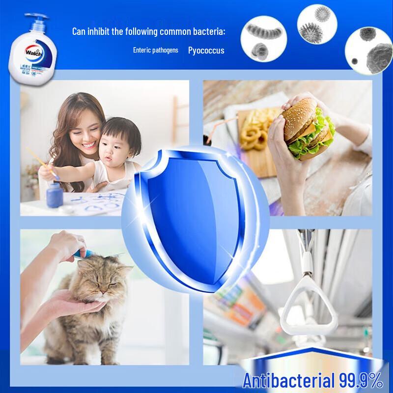 Walch Antibacterial Hand Wash 3-Pack