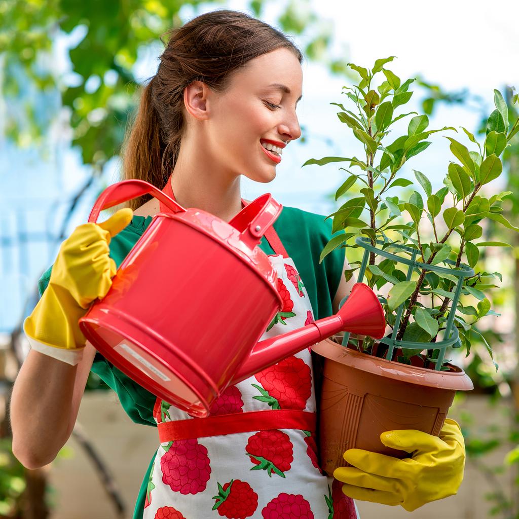 6Pcs Plant Support Stakes Plastic Plant Support Multifunctional Garden Flower Support Indoor Plant Stake Garden Supplies