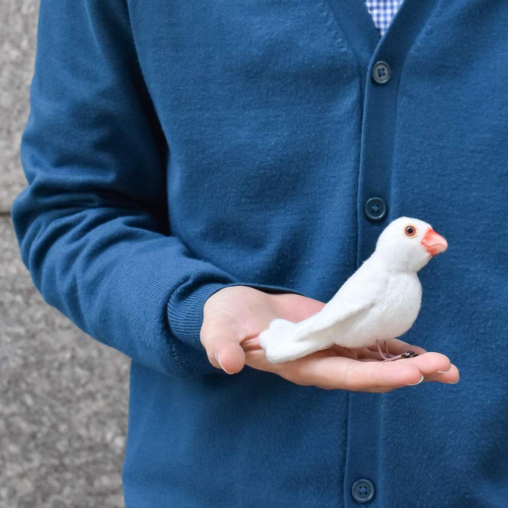 BH7244 HANSA White-winged Bunting 13