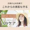 Natural Cosmetics Research Institute Basic UV BB Cream Beige Foundation Makeup Base SPF50 Serum Ingredients 30g Tube PA+++
