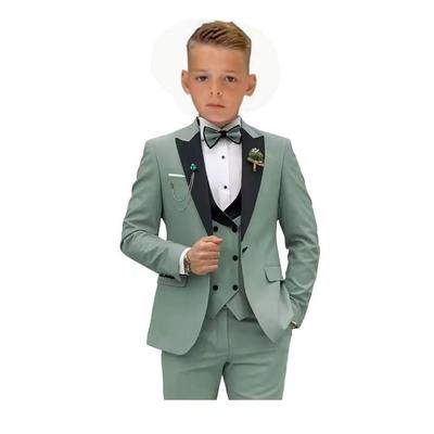 Fashion Single-Breasted Boys' Birthday Suit Set Popular Wine Red Children's Suit For Boys' Campus Suit Includes Coat Pants Vest