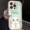 Phone Case for iPhone 17 Air 16E 15 16 Pro Max Cute Cartoon Bunny Rabbit Cover 14 Plus 13 12 Mini Soft Shell Silicone Fundas