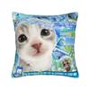 Frutiger Aero Art Pillow Case  Print Pillow Cover For Sofa Home Decoration Novelty Pillowcases