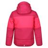 Regatta Childrens/Kids Lofthouse VII Terrain Print Padded Jacket