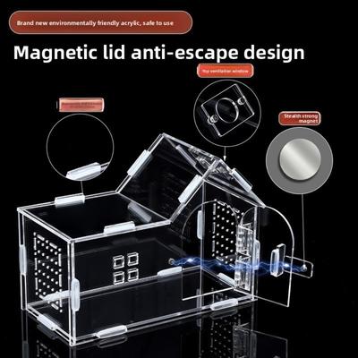 New Acrylic Reptile Habitat Clear Ventilated Spider Feeding Case Anti-Escape Arboreal Lizard Breeding Box Small Pet Supplies