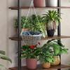 Rattan Flower Basket with Hanging Chain Wall for Party Doorway Window 8