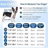 Summer Pet Life Jacket Outdoor Dog Life Jacket Outdoor Training Life Jacket Dog Swimsuit