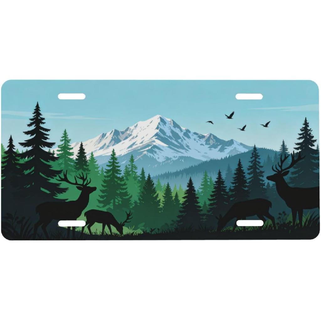 Galaxy Blessed Front License Plate for Women Car Vanity Plates Decorative Aluminum Metal Cute Novelty License Plate Cover for Men 6x12 Inch (4 Holes)