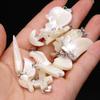 10Pcs Natural Shell Pendant Mother Of Pearl Small Charms For Jewelry Making DIY Necklace Earrings Accessory, Crafts