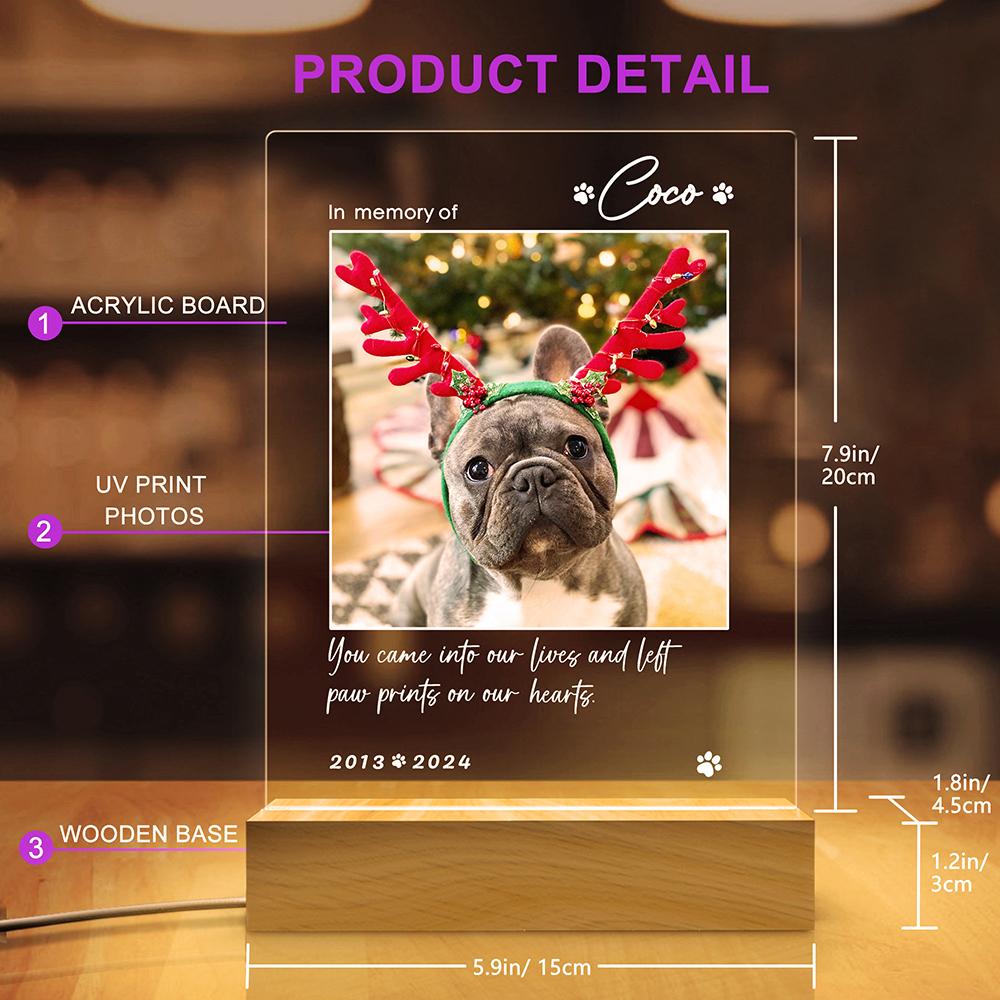 Custom Night Light Pet Memorial Plaque For Dog Cat Personalized Pet Growth Ornament Engrave Pet Info Record Lovely Daily Moment
