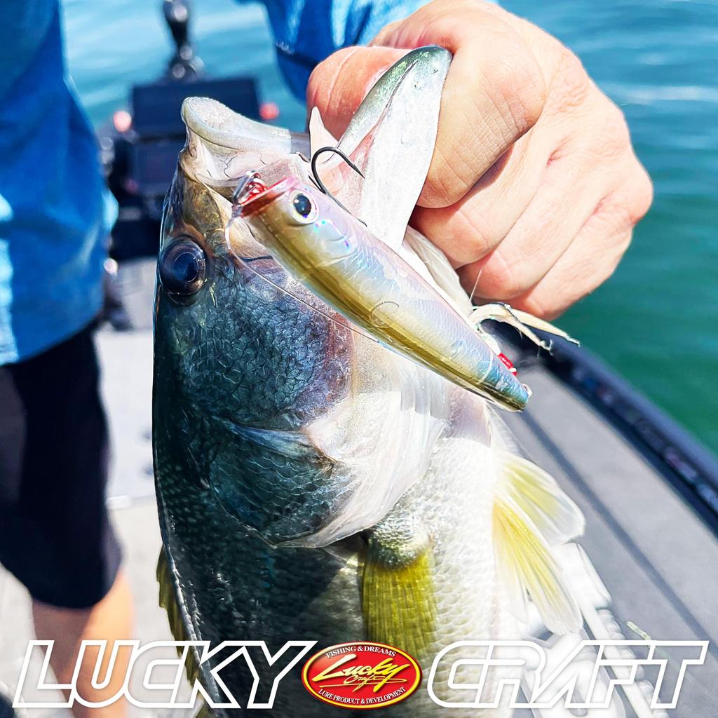 LUCKY CRAFT Gunfish 115NF Lake Murray (292 Clear)