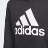 adidas Kids Sweatshirts Hooded Moderate GN4027