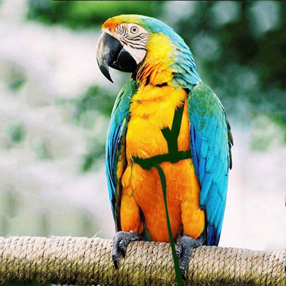 Rope Flying Traction Straps Band Parrot Flying Rope Bird Leash Bird Harness Leash Parrot Harness