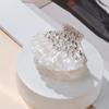 Acrylic Shell Hair Claw Korean Style Shell Shape Claw Clip Sweet Shell Crab Clip  Girl