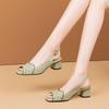 Rear Empty Versatile Thick Heel Fashion Hollow Fish Mouth Sandals Women's 2025 Summer New Mid-heel One-word Buckle Sandals