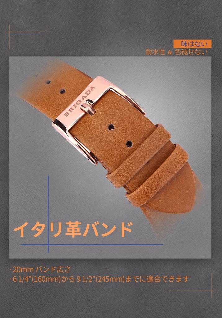 BRIGADA Swiss Brand Watch Popular Luxury Watch Men's (Barakin)