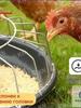 Livestock Feeder
