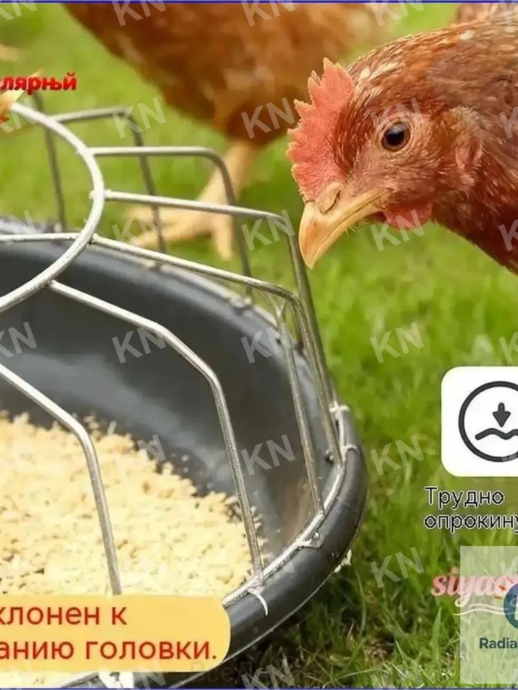 Livestock Feeder