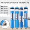 600G RO Membrane Replacement Filter for Reverse Osmosis Water Purifier System/Universal Fit 3012/3013 Shell