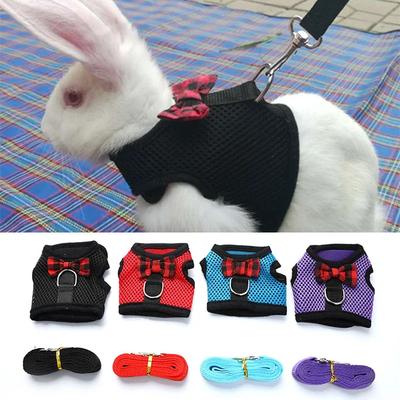 Cute Rabbit Leash Set Bunny Harness Vest for Guinea Pigs Small Pet Walking Lead Rope Outdoor Supplies