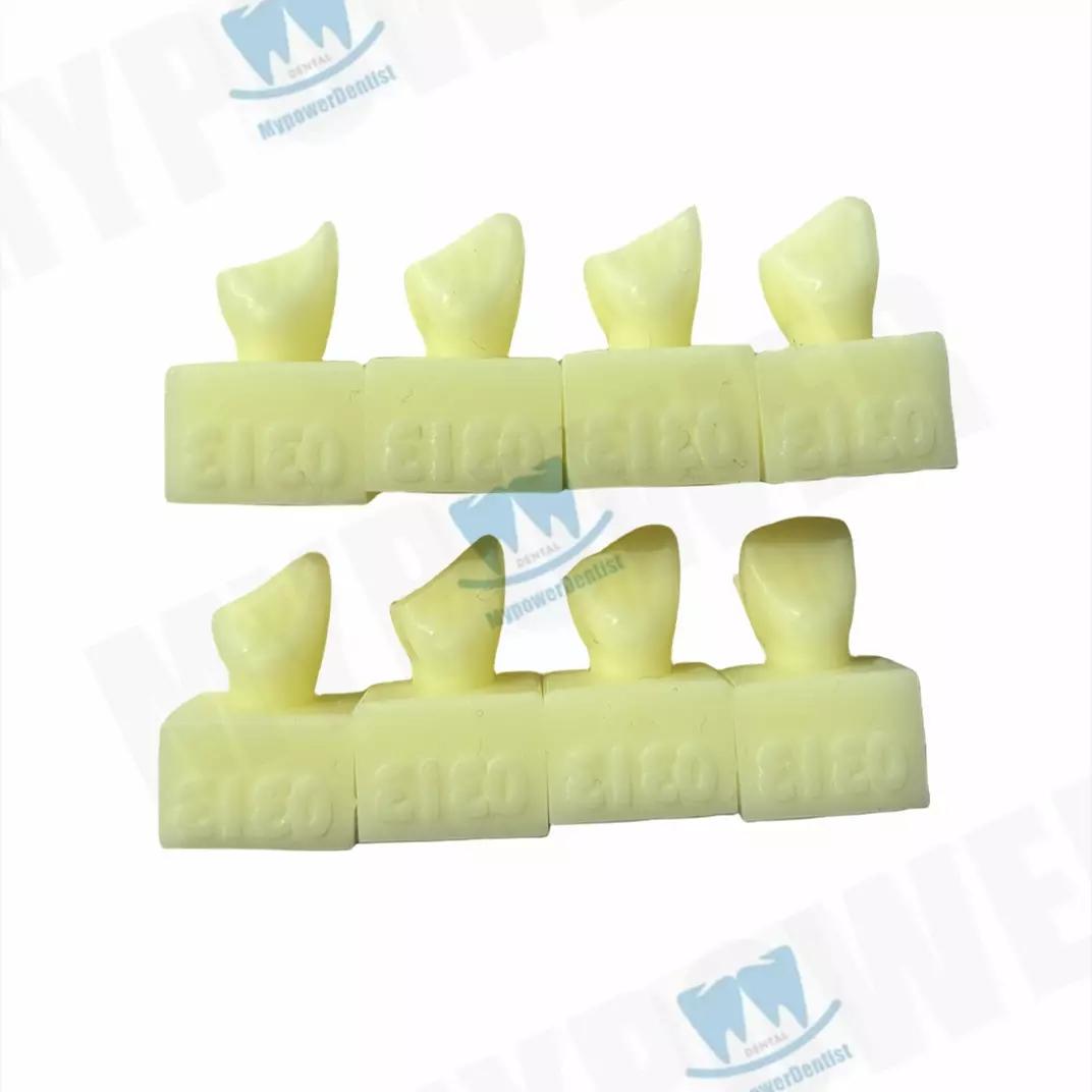 1Set Dental Composite Resin Teeth Filling Molar Anterior Cavity Hole Practise Model Individual Anterior