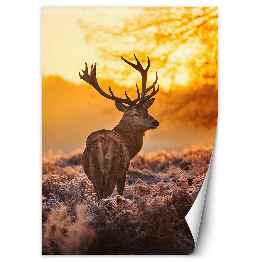Wallpaper Deer At Sunset