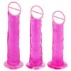 Soft Large Phallus Jelly Penis Long Dick Realistic Dildo Suction Cup Dildo Lesbian Sex Toy for Women