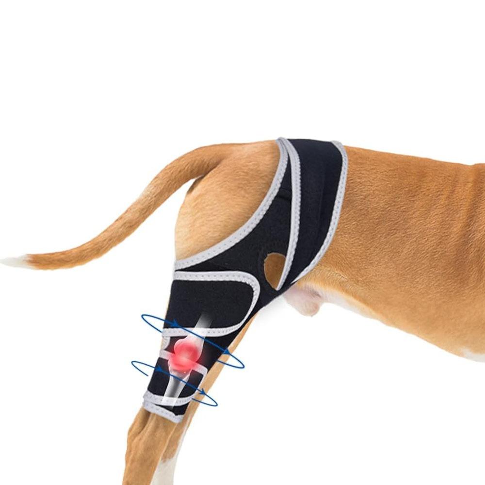 Durable Leg Support Bracket Adjustable Pet Knee Wound Protection  for Hind and Front Legs